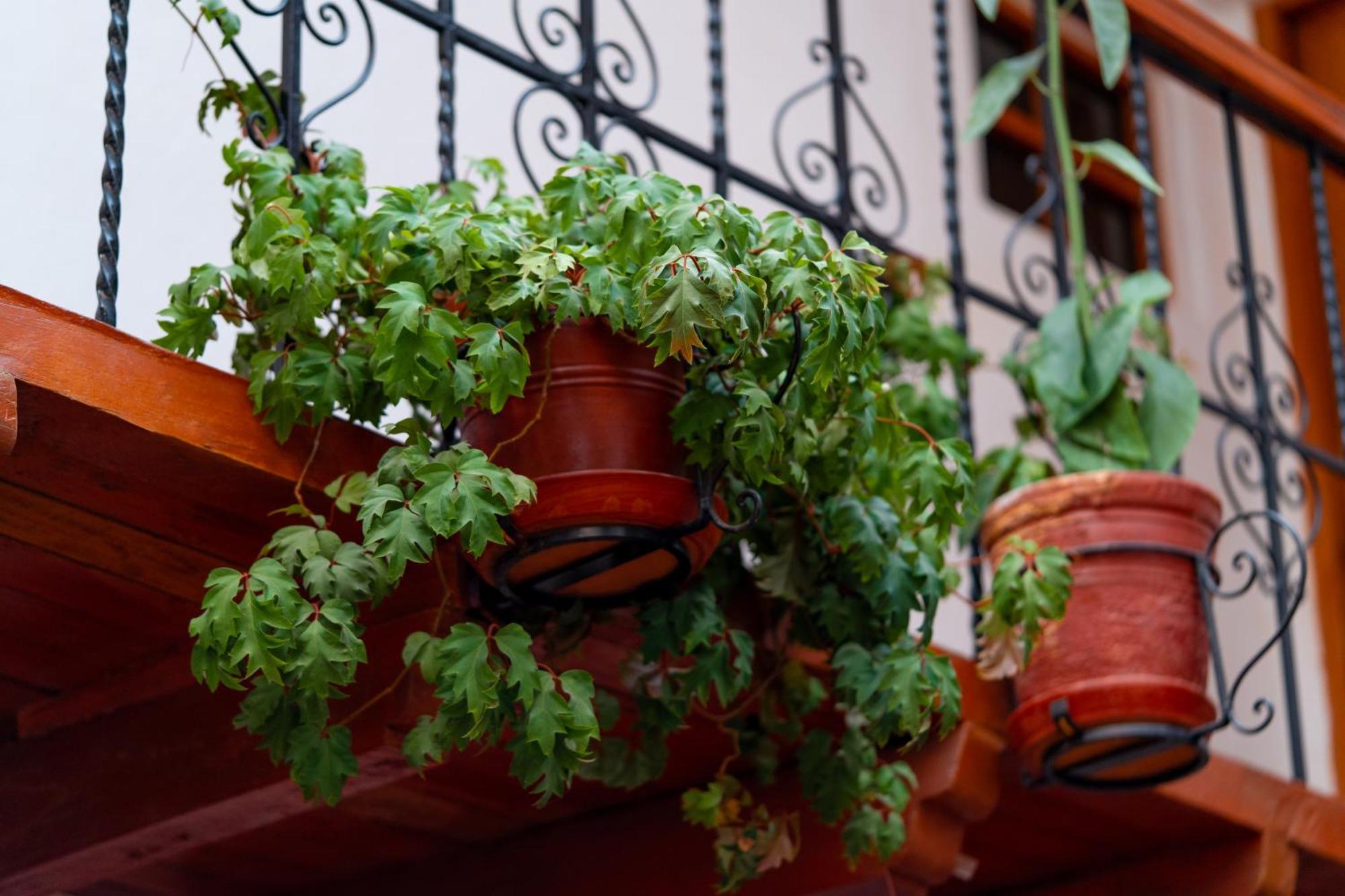 Hotel La Posada De Atahualpa กุสโก ภายนอก รูปภาพ